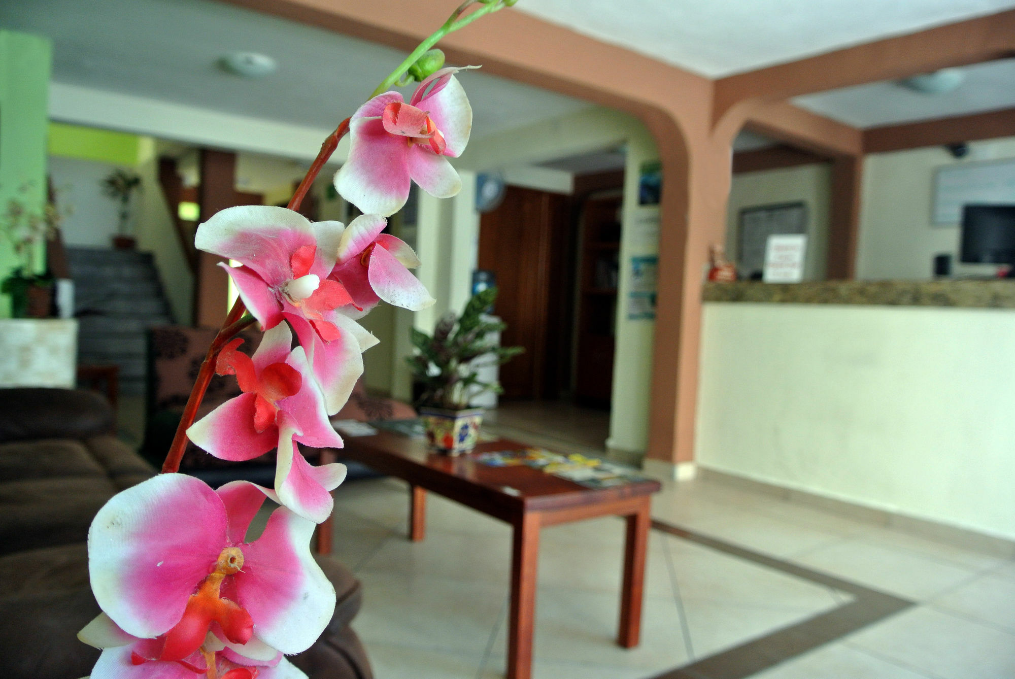 De Mar Hotel Playa del Carmen Dış mekan fotoğraf